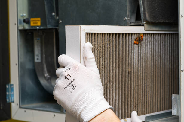 Best Residential Air Duct Cleaning  in Pocasset, MA