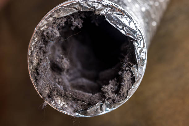 Best Affordable Air Duct Cleaning  in Pocasset, MA